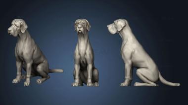 3D model Stranger dog (STL)