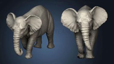 3D model Baby Elephant (STL)