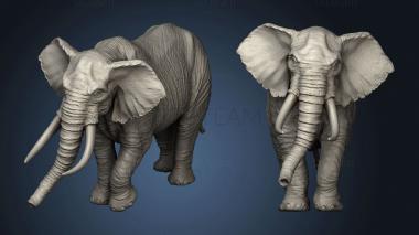 3D model Elephant (STL)