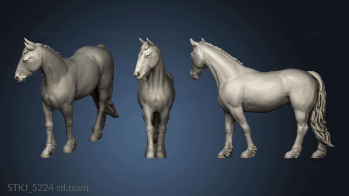 3D model Horse (STL)