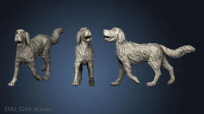 3D model Dog hare (STL)