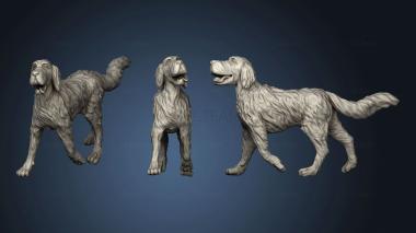 3D model Dog hare (STL)