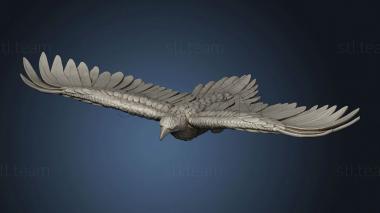 3D model Giant Eagles eagle flying (STL)