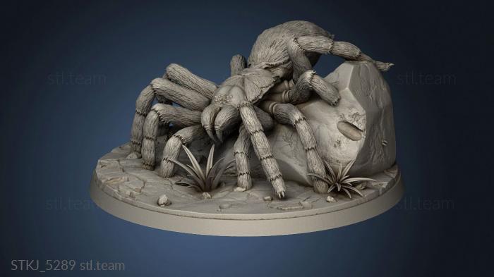 3D model Tarantula (STL)