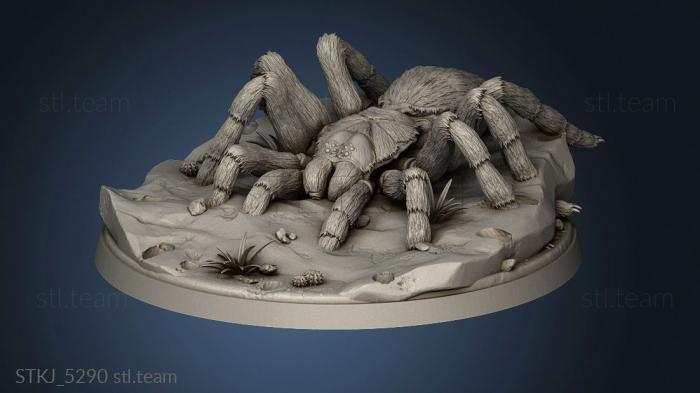 Tarantula