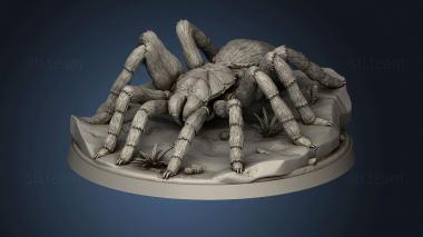 3D model Tarantula Rnd (STL)