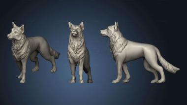 3D model The hermit Dog (STL)