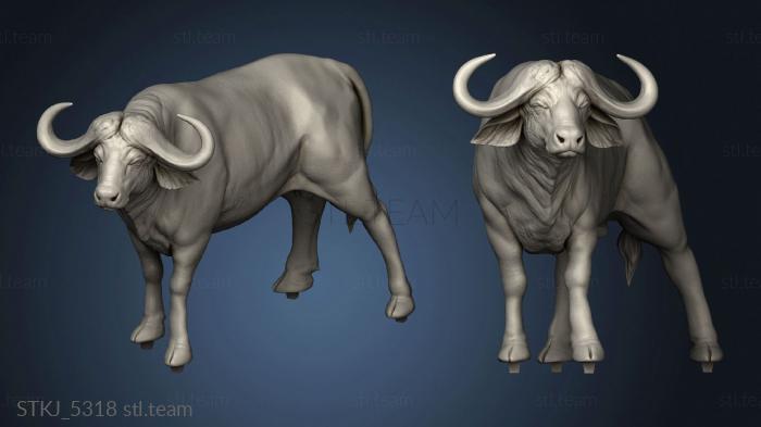 3D model The Savannah Tabiri Water Buffalo Mount bare (STL)