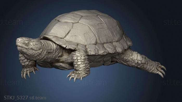 3D model Mousin Turtle (STL)