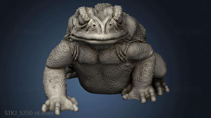 3D model Through Toads Toad (STL)