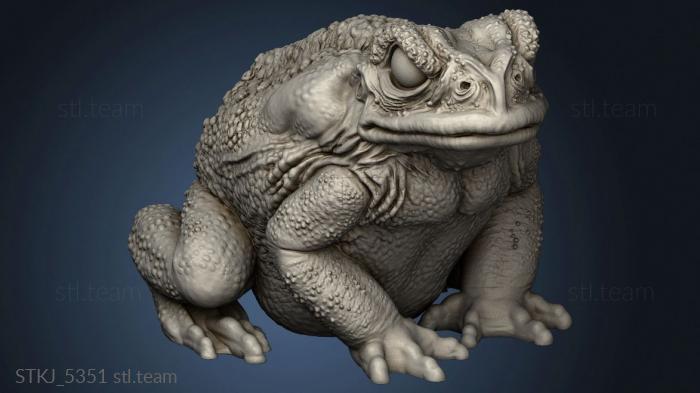 3D model Through Toads Toad (STL)