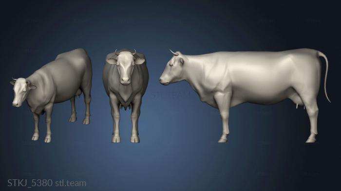 3D model top cow vaca vach (STL)