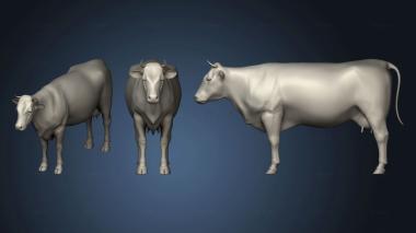 3D model top cow vaca vach (STL)