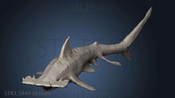 3D model Hammer Shark (STL)