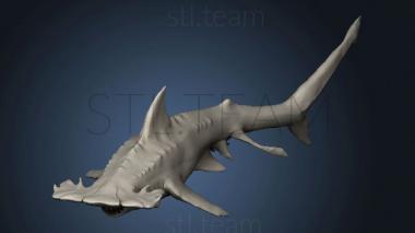 3D model Hammer Shark (STL)