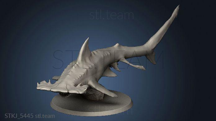 3D model Hammer Shark (STL)