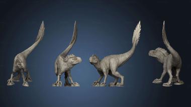 3D model Velociraptor crest (STL)