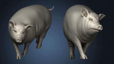 3D model Village Animal Pig (STL)