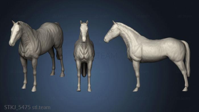 3D model Village Barn Horse (STL)