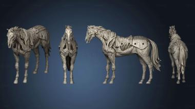 3D model Wight Horse DLP Eco (STL)