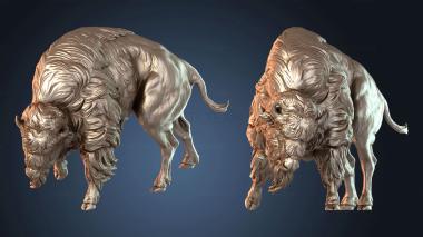 3D модель Бой американских бизонов (STL)