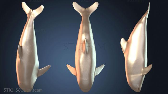 Животные Детёныш Косатка Библиотеки времени выполнения Персонаж Детёныш