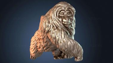 3D model Attack Primate Fierce (STL)