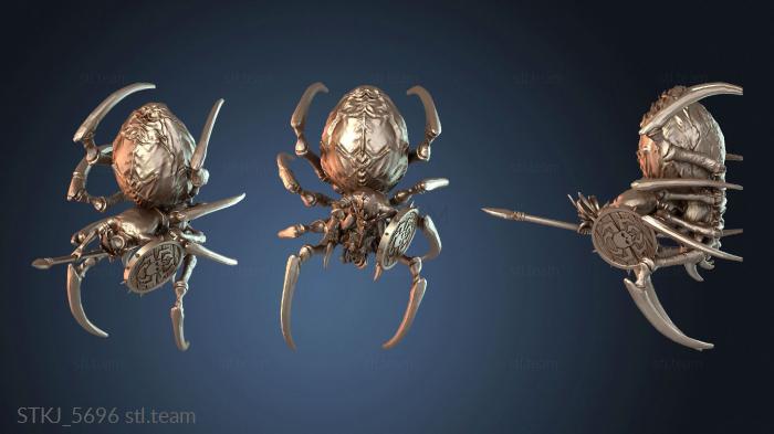 Австралийский паук-кавалерист Галант