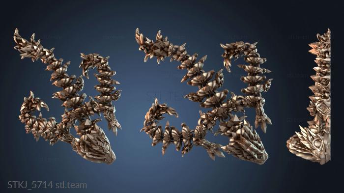 Детёныш медузы-дракона