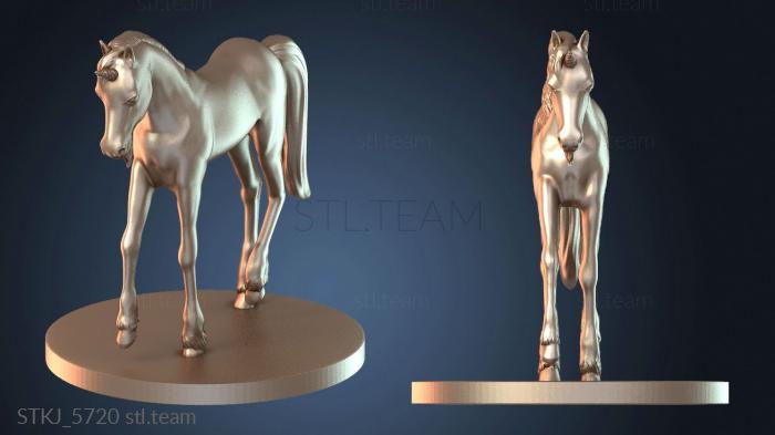 Baby Monsters Unicorn Unicor