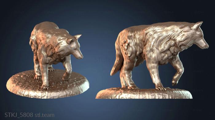 Зверь Волк Повседневный