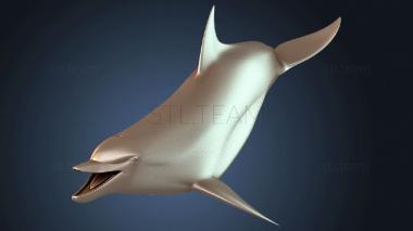 3D модель Дельфин-афалина проворный (STL)