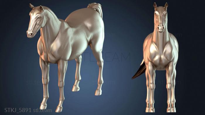 Статуэтки животных STKJ_5891