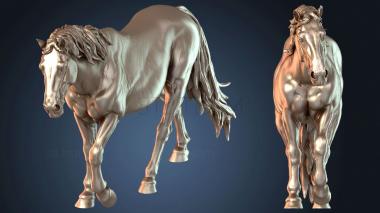 3D model Camargue Horse (STL)