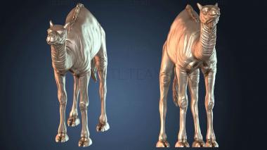 3D модель STKJ_5897 (STL)