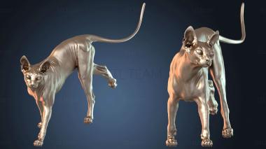 3D модель STKJ_5919 (STL)