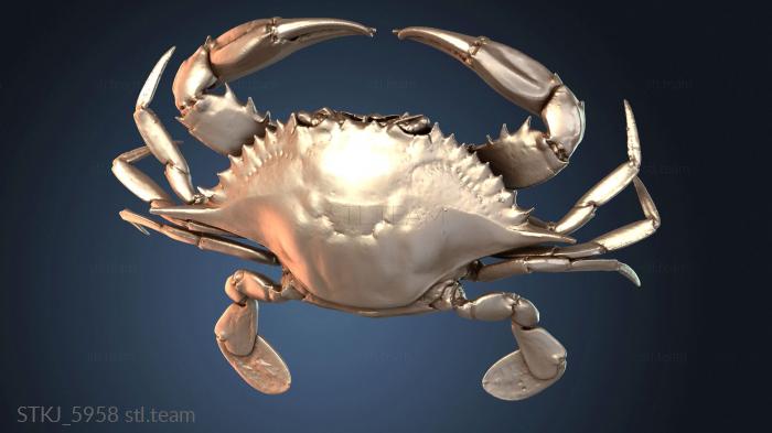 Статуэтки животных Дверца для слива Chesapeake Blue Crab Female