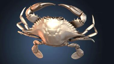 3D модель Дверца для слива Chesapeake Blue Crab Female (STL)