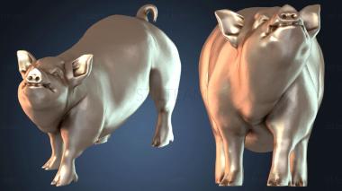 3D модель STKJ_5992 (STL)