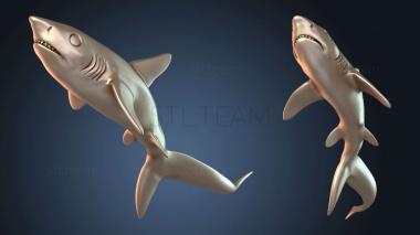 3D модель Делеа Инфильтратор Акула (STL)