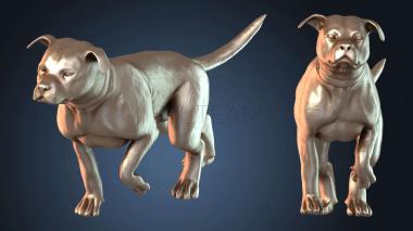 3D model Dog Brave (STL)
