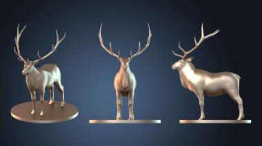 3D модель STKJ_6137 (STL)