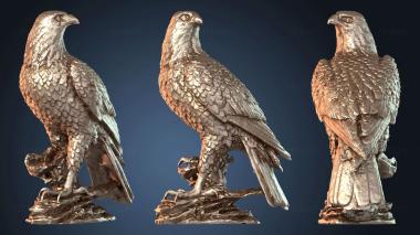 3D модель Орел (STL)