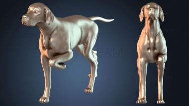 3D модель STKJ_6221 (STL)