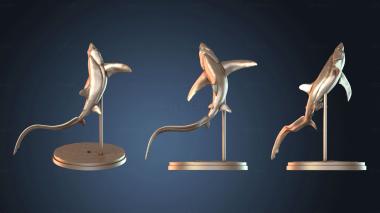3D model Eye Thresher Shark Jumping (STL)