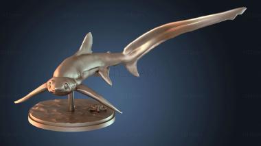 3D модель Глаз акулы-лисьего лисицы, плавающий (STL)