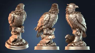 3D модель Сокол (STL)