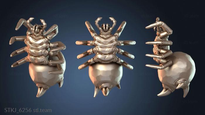 Дикий паук ядовитый