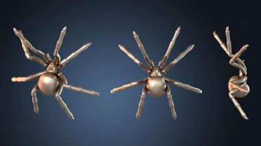 3D model Feywood Core Spider (STL)