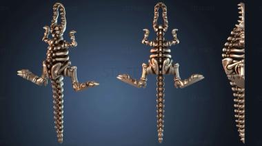 3D модель Гибкий скелет Рекса (STL)